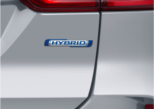 imgi_43_6768655096df7fd476265cb2e708e785